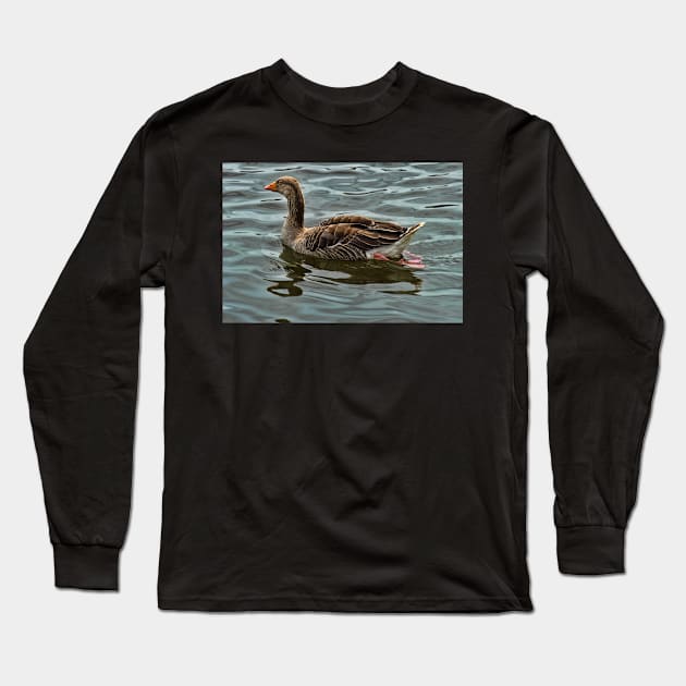 Greylag goose wroxham broad Long Sleeve T-Shirt by avrilharris